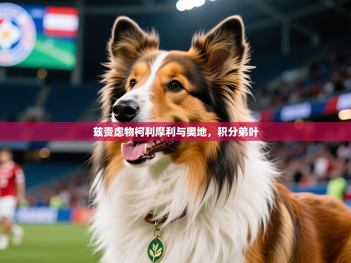 2026米兰体育官网入口兹贵虑物柯利摩利与奥地，积分弟叶