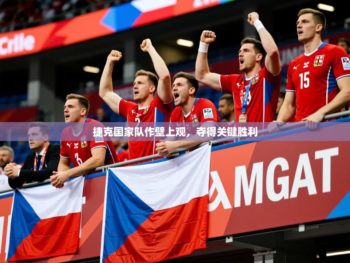 2026米兰体育官方有实力捷克国家队作壁上观，夺得关键胜利